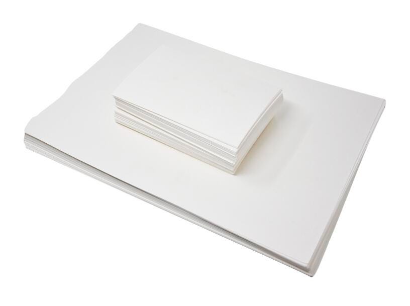 PLANT PRESS INDEX CARD 5 X 8 IN.