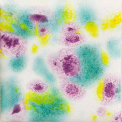 GLAZE MAYCO JUNGLE GEMS CG-999 JAZZ NOTES PINT