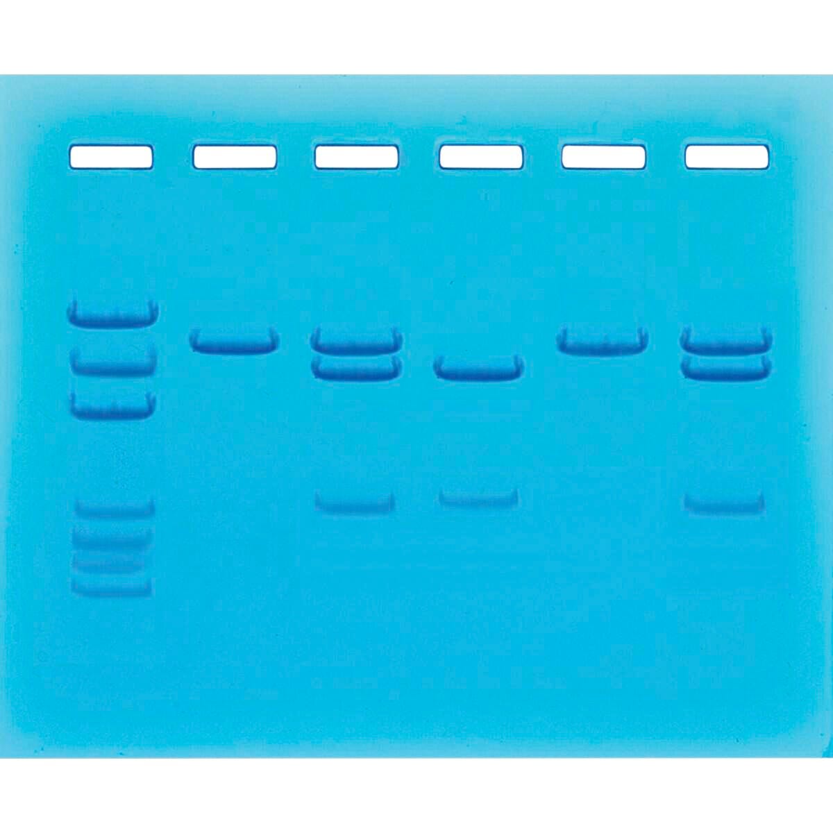 NUCLEIC ACID TESTING FOR COVID-19
