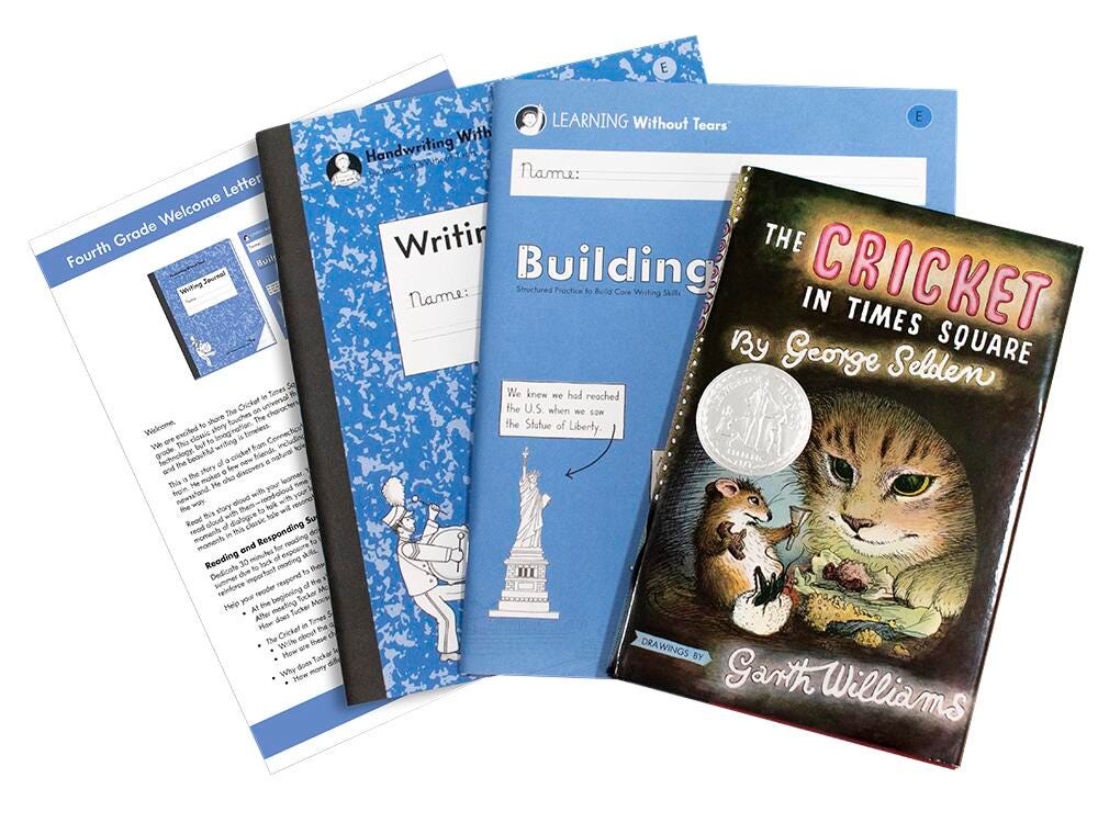 READING AND WRITING BOOST BUNDLE GR 4