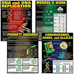 POSTER DNA AND HEREDITY 4-PACK SET