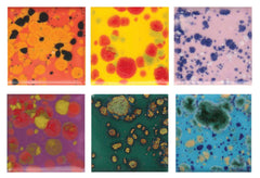 GLAZE SAX COLORBURST PINT SET OF 6