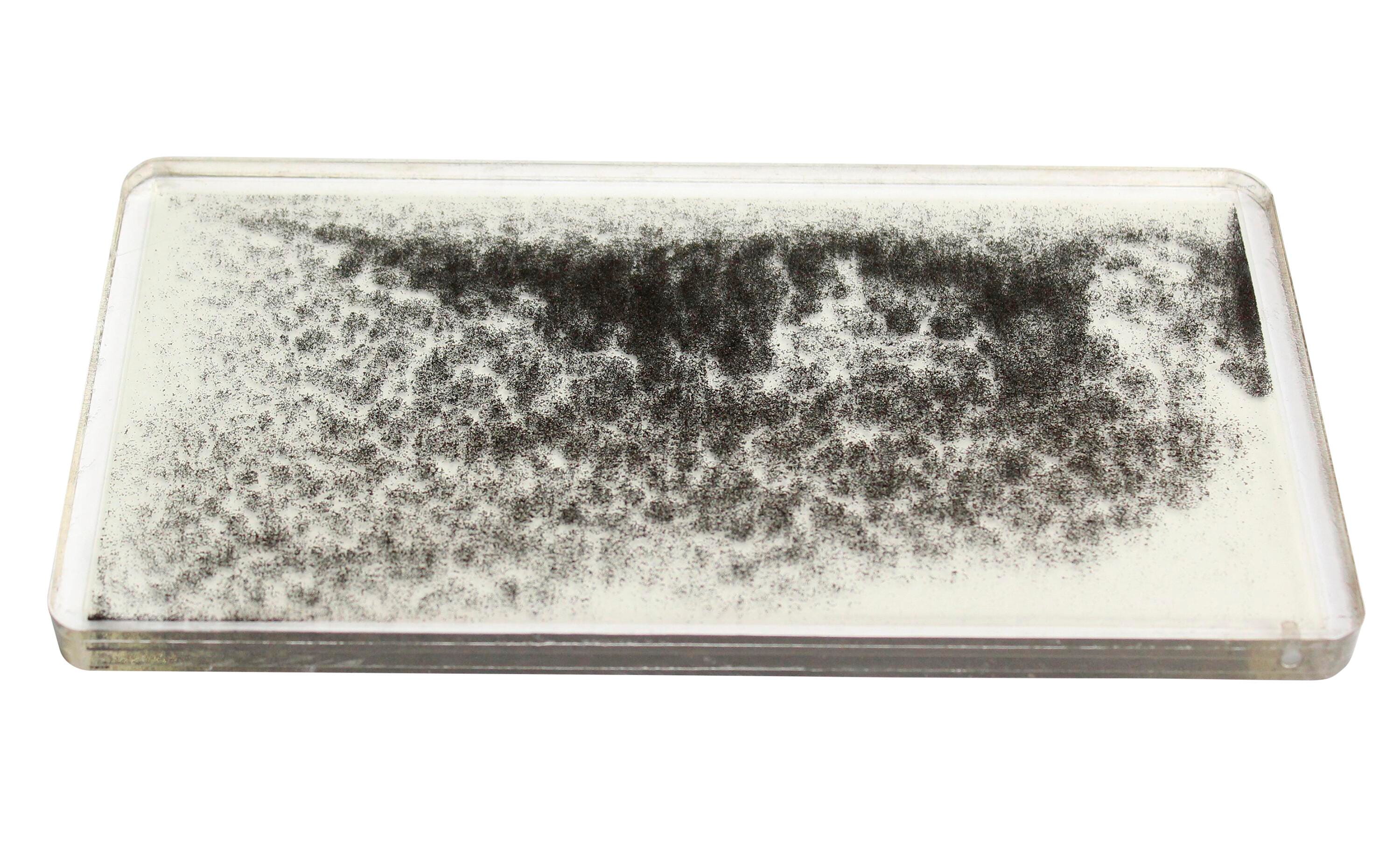 UNITED SCIENTIFIC MAGNETIC FIELD DEMONSTRATOR