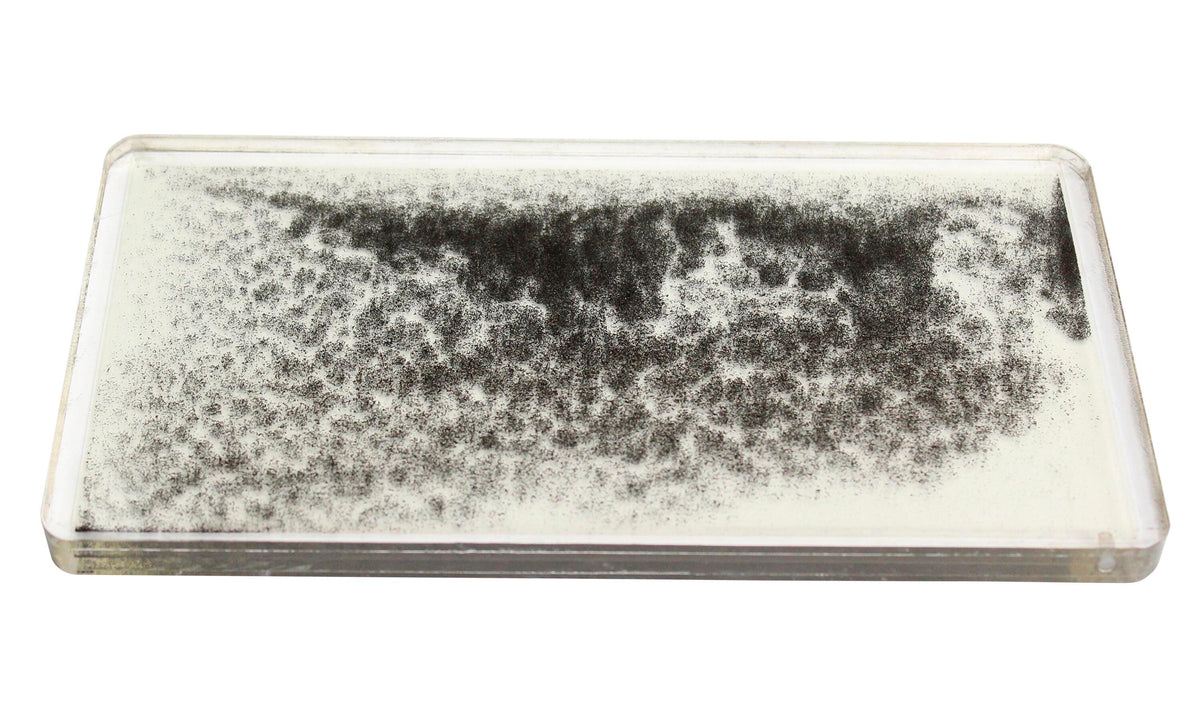 UNITED SCIENTIFIC MAGNETIC FIELD DEMONSTRATOR