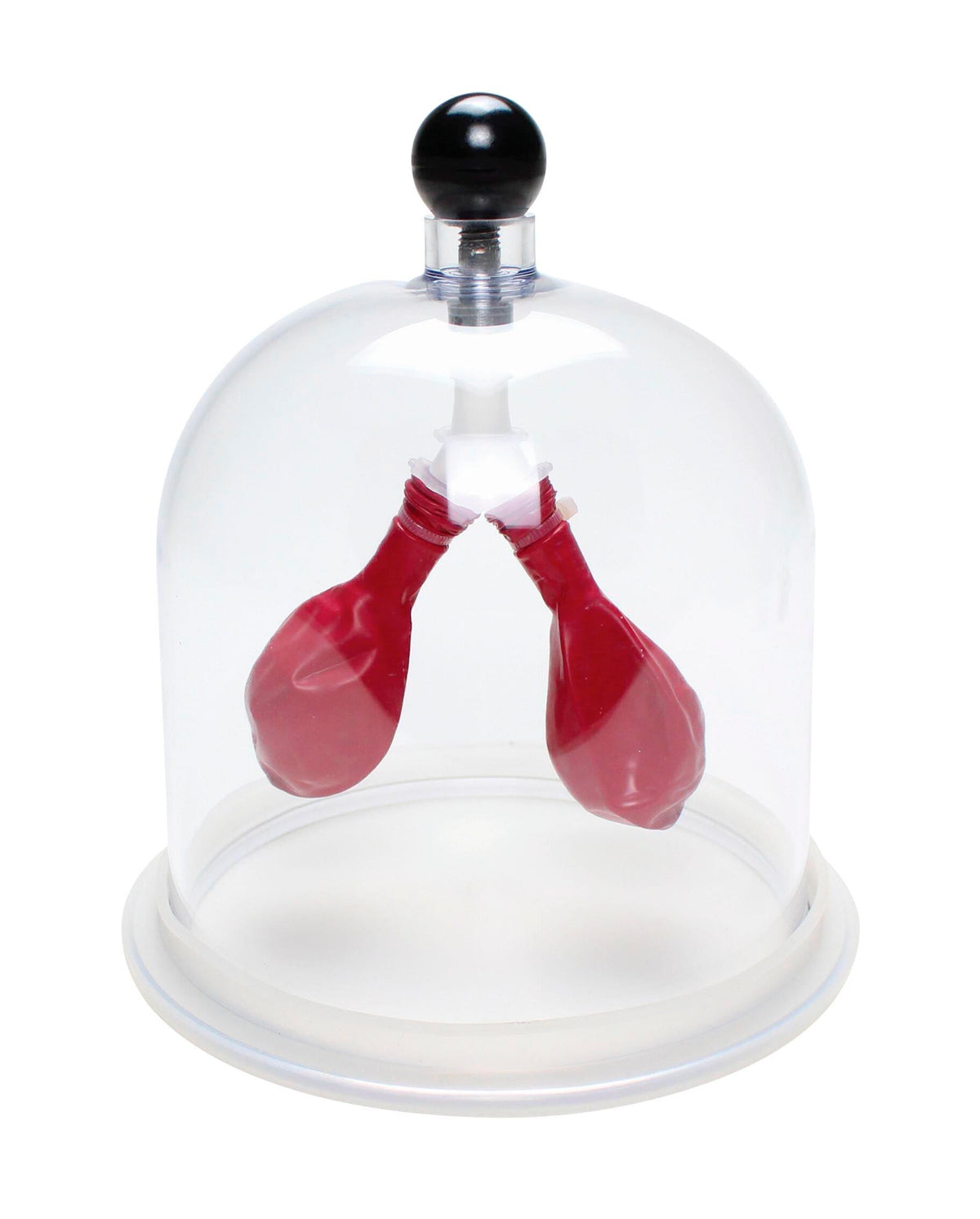 UNITED SCIENTIFIC LUNG APPARATUS