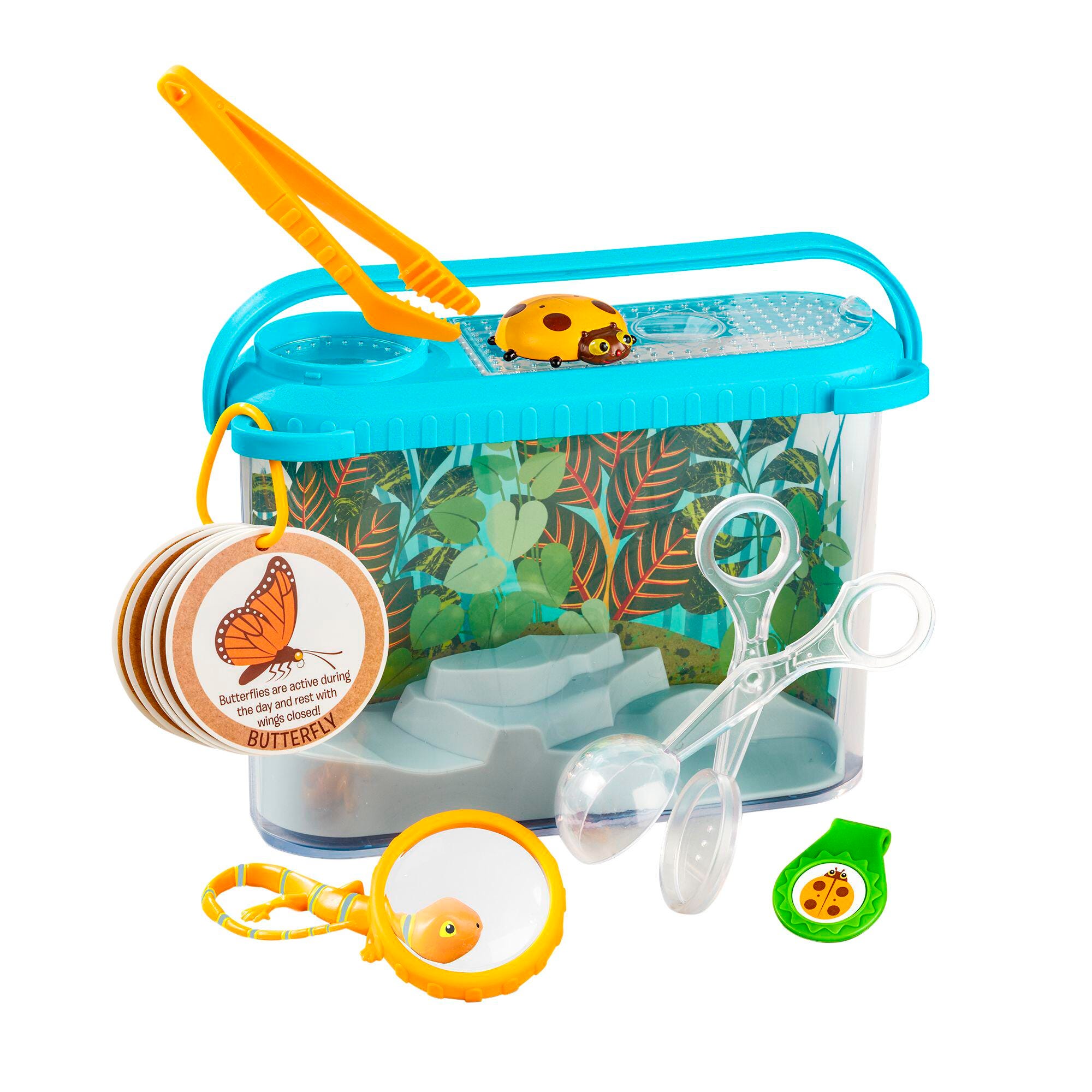 LETS EXPLORE TERRARIUM OBSERVATIONS PLAY SET