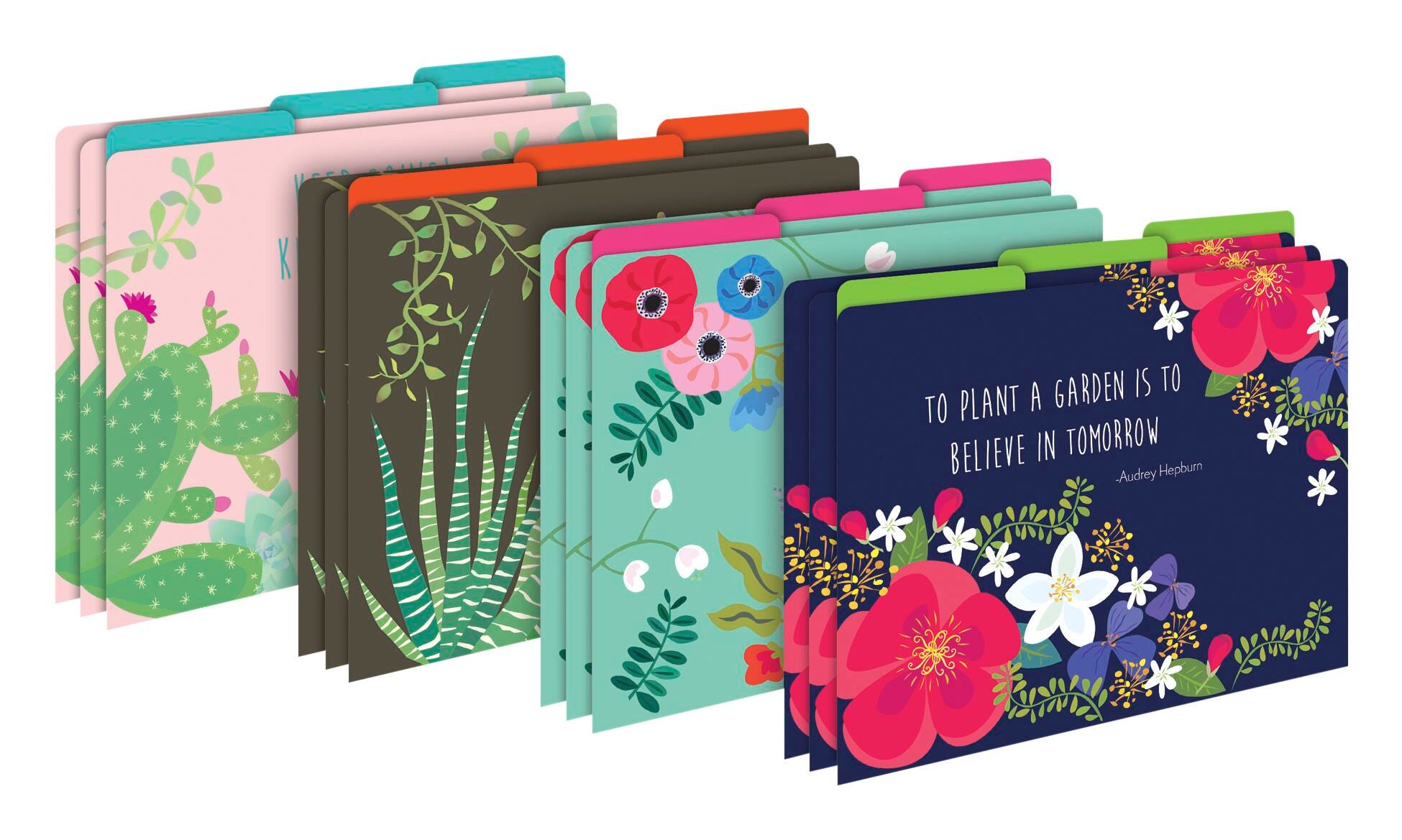 FILE FOLDERS LETTER PETALS AND PRICKLES SET OF 12