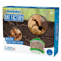 GEOSAFARI ANT FACTORY