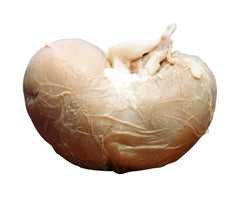 SHEEP KIDNEY PLAIN VAC PK/1