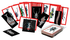 ROYLCO INSECT X-RAYS AND PICTURE CARDS