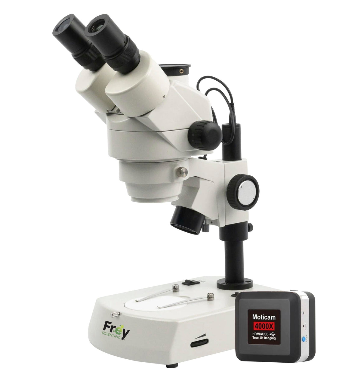 STEREO MICROSCOPE WITH MULTIPORT CAMERA