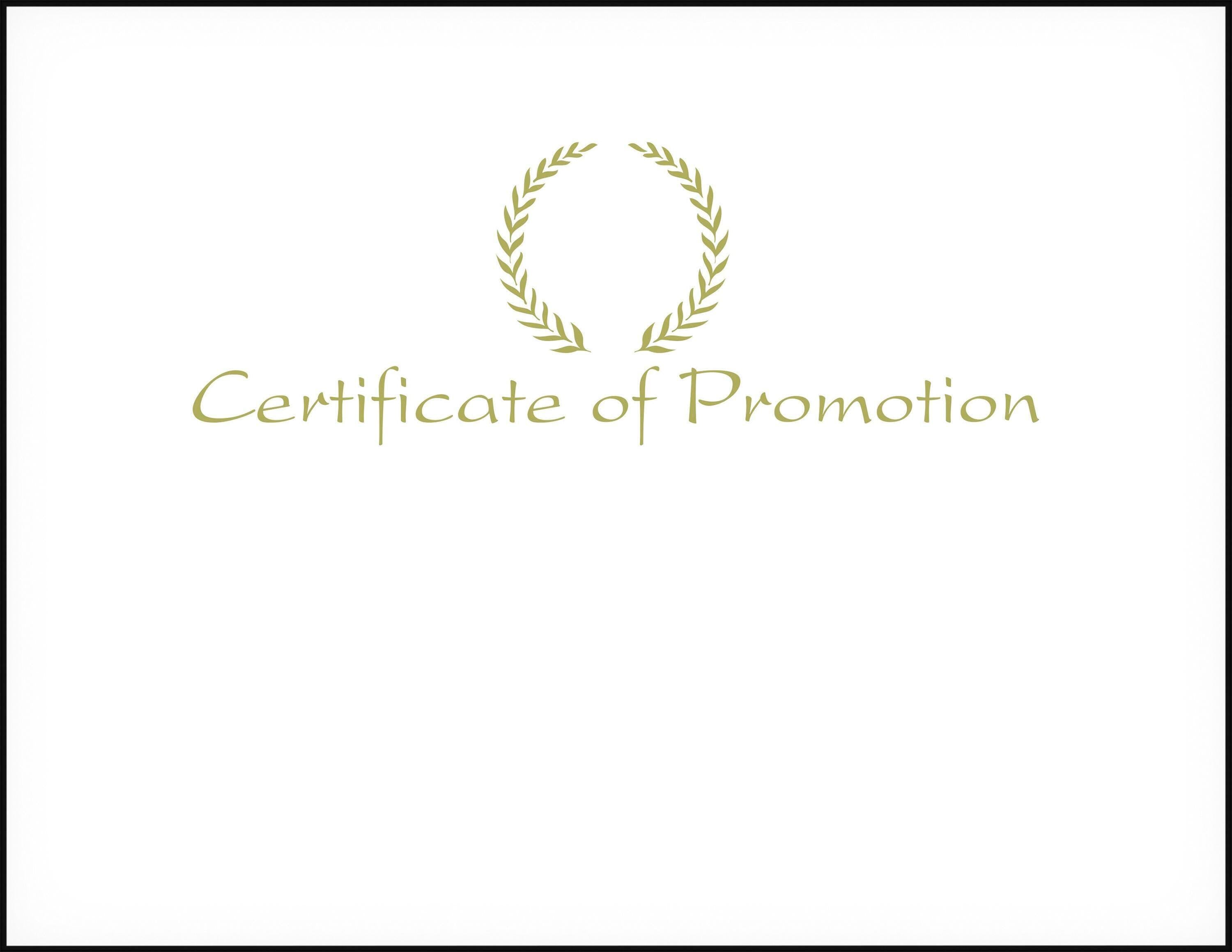 AWARD RECOGNITION FOIL CERTIFICATE OF PROMOTION 8-1/2 X 11 INCHES