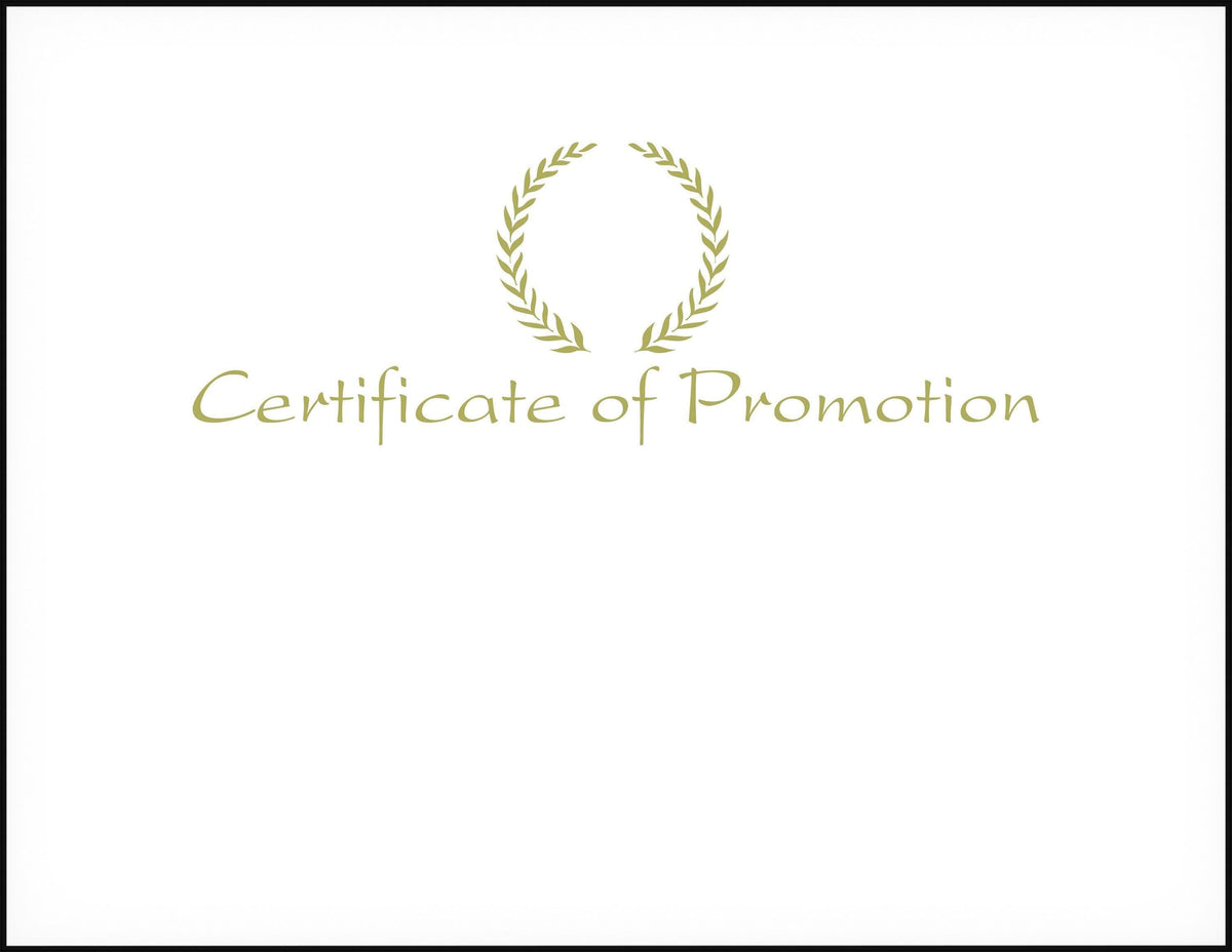 AWARD RECOGNITION FOIL CERTIFICATE OF PROMOTION 8-1/2 X 11 INCHES
