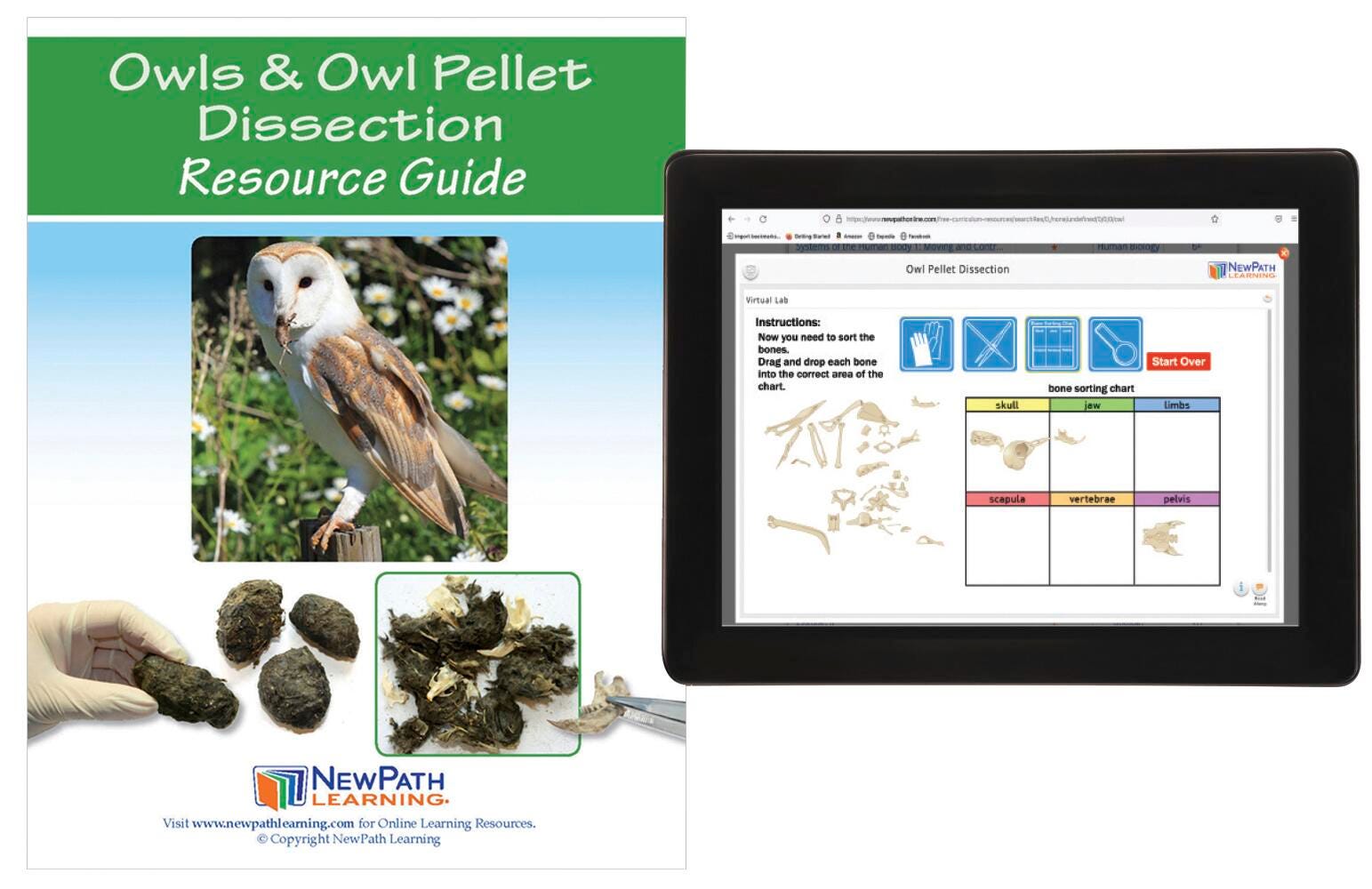 OWLS AND OWL PELLETS RESOURCE GUIDE WITH ONLINE MULTIMEDIA LAB