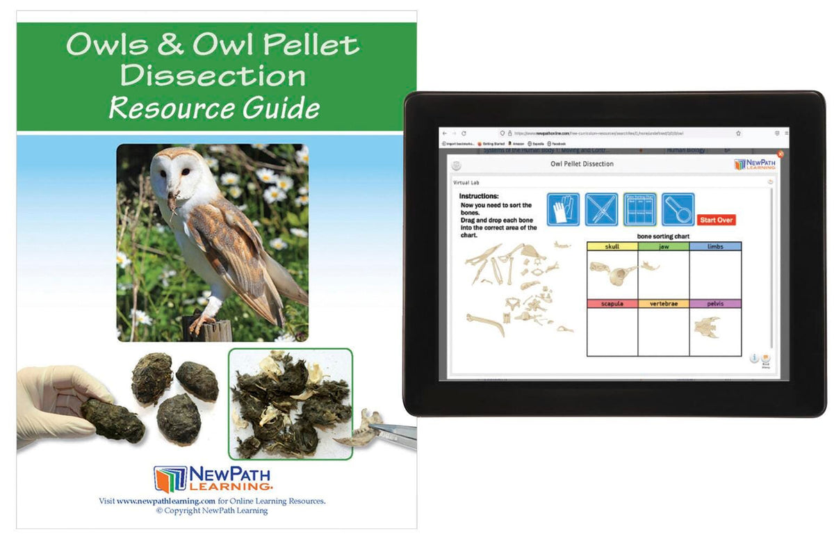 OWLS AND OWL PELLETS RESOURCE GUIDE WITH ONLINE MULTIMEDIA LAB