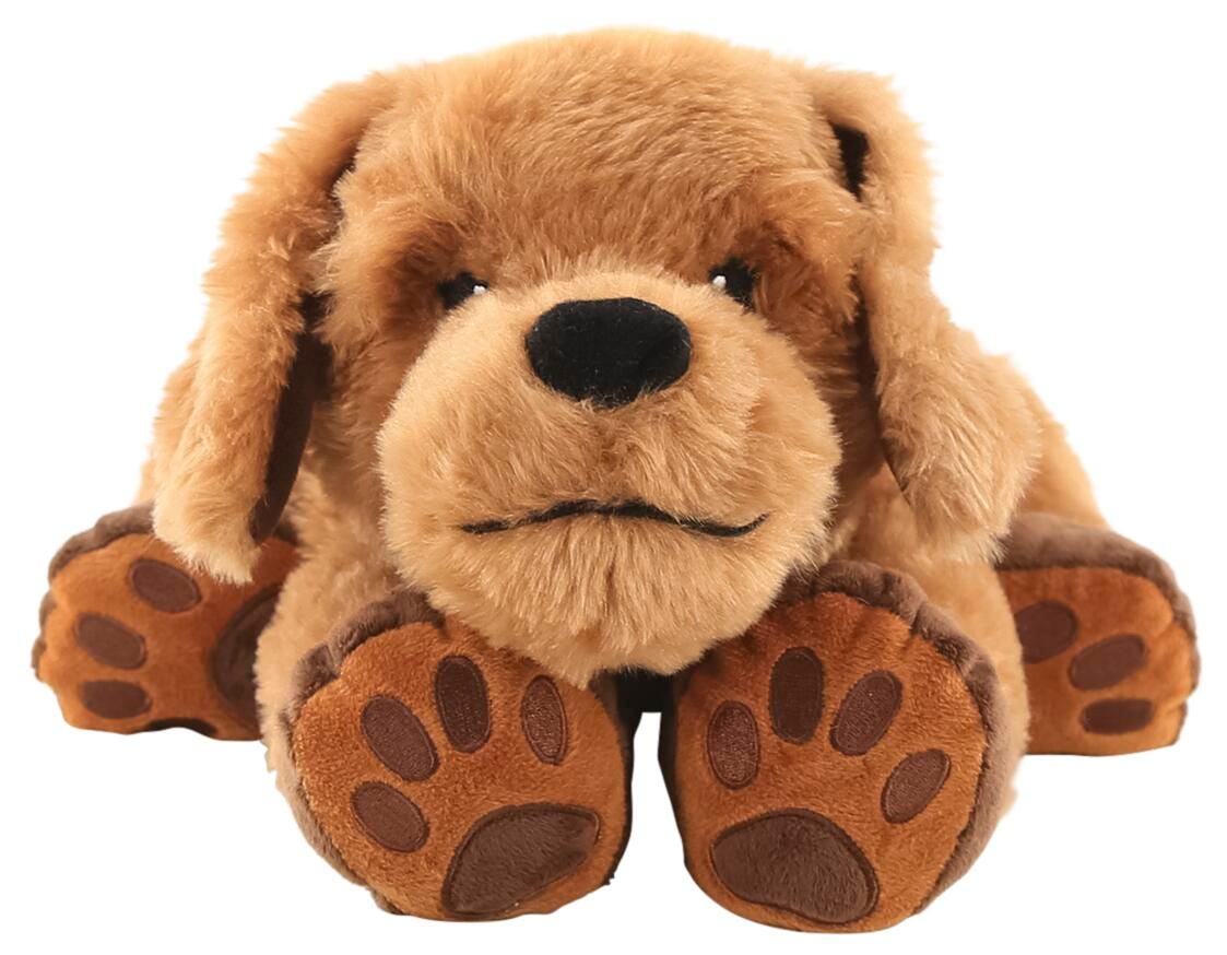 THEO THE THERAPY DOG