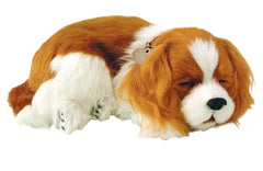 PERFECT PETZZZ CAVALIER KING