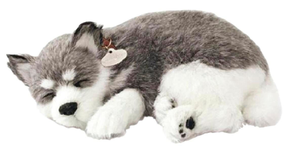 PERFECT PETZZZ ALASKAN HUSKY DOG NF17