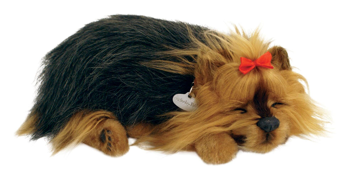 PERFECT PETZZZ YORKIE NF17