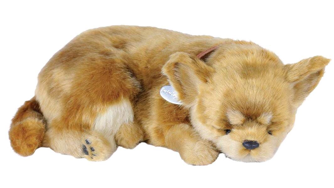 PERFECT PETZZZ CHIHUAHUA NF21