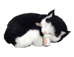 PERFECT PETZZZ BLK AND WHITE SHORTHAIR NF17
