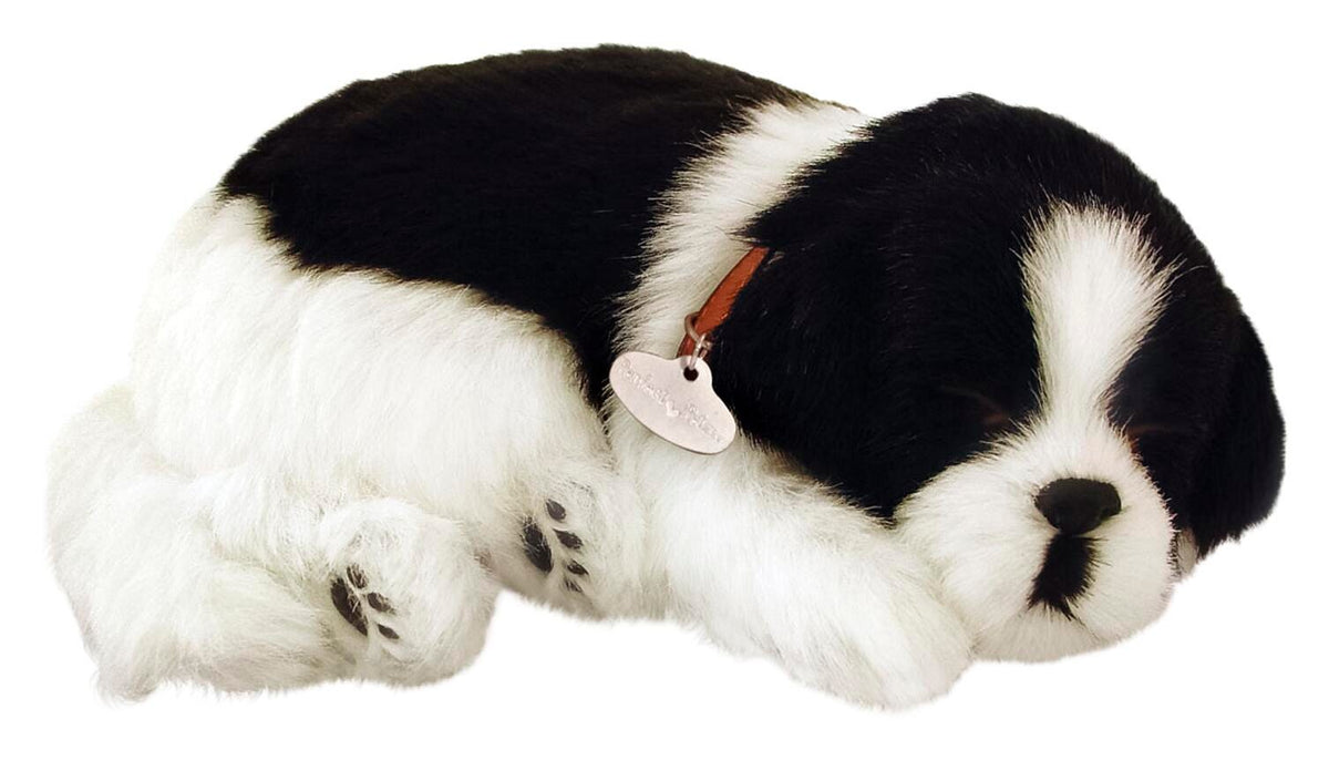 PERFECT PETZZZ BORDER COLLIE