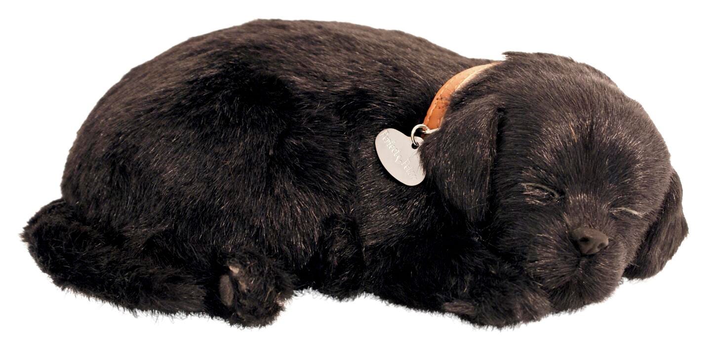 PERFECT PETZZZ BLACK LAB NF17