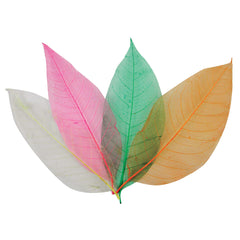 Large Skeleton Col. Leaves Pk 60