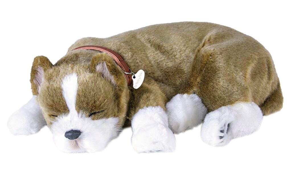 PERFECT PETZZZ PIT BULL NF21