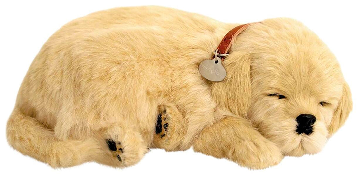 PERFECT PETZZZ GOLDEN RETRIEVER