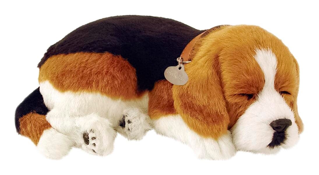 PERFECT PETZZZ BEAGLE