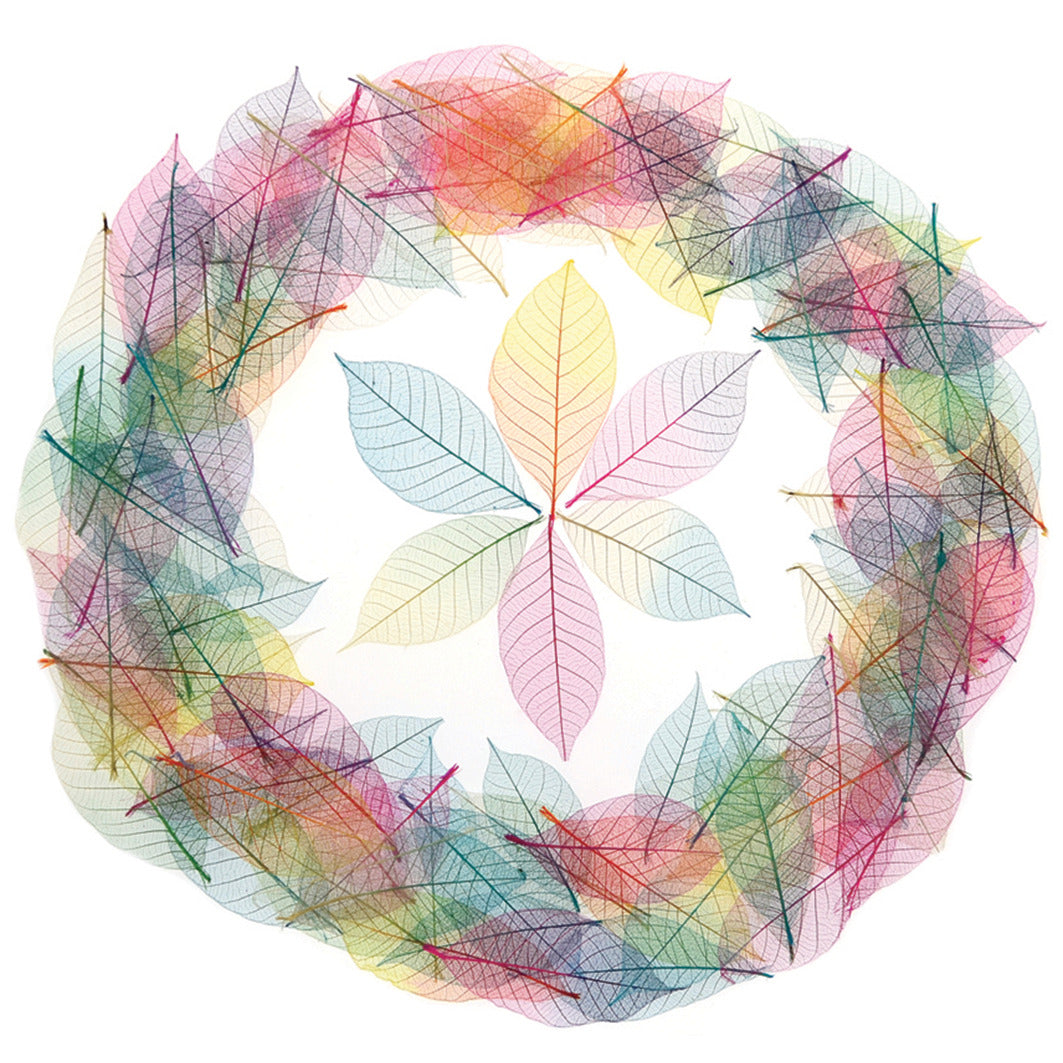 Skeleton Coloured Leaves Pk 120