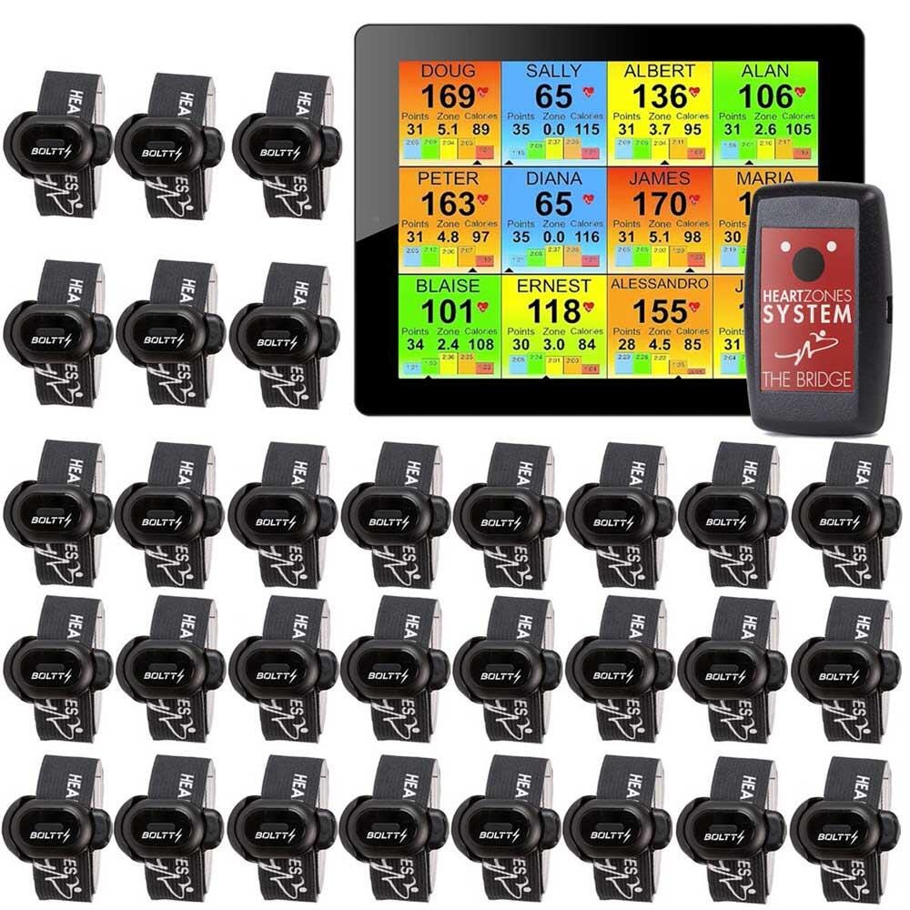 STEP TRACKER STRIDER SYSTEM 30 PK