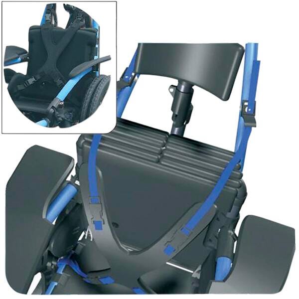 HARNESS FOR HIPPOCAMPE