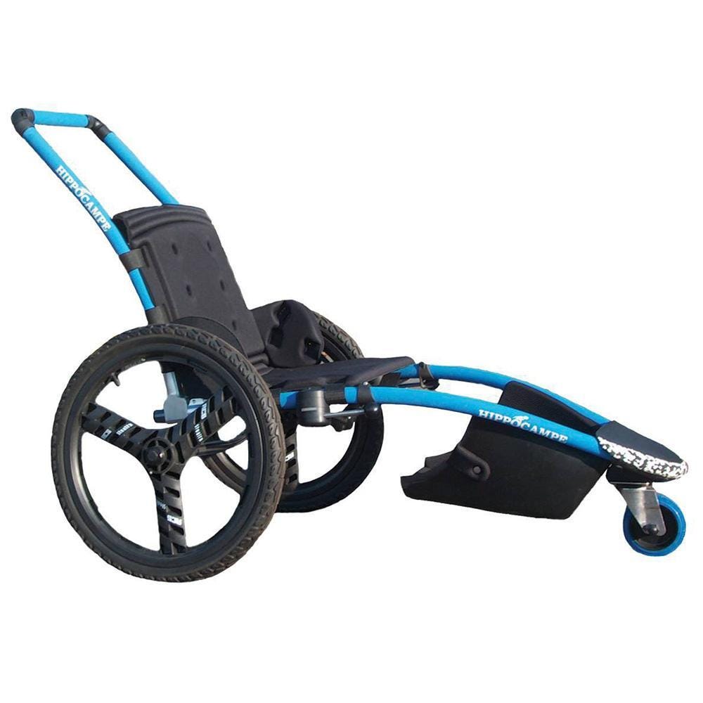 HIPPOCAMPE POOL ACCESS CHAIR
