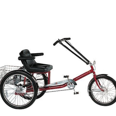 PERSONAL ACTIV VEHICLE-1 SPD ELECTRIC