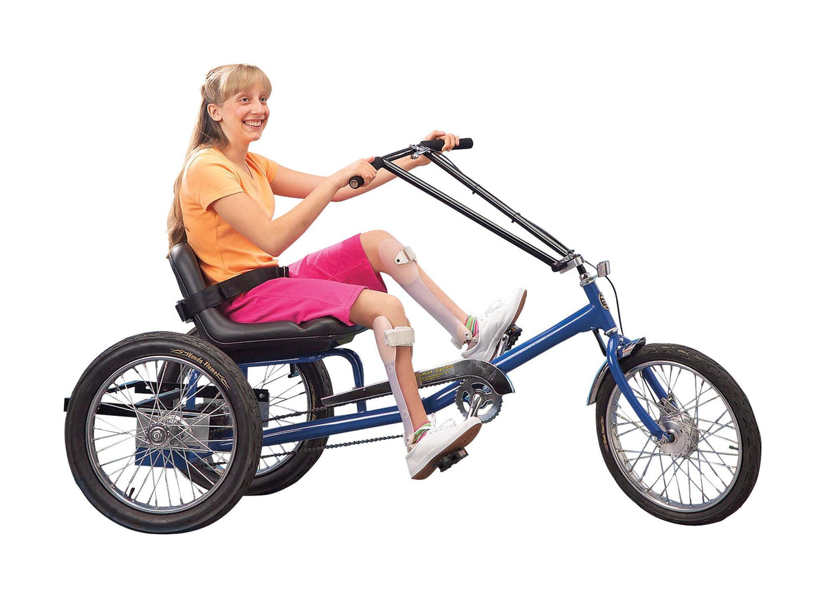LOW RIDER RECUMBENT TRIKE-3 SPEED