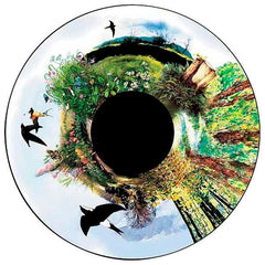 WILDERNESS EFFECT WHEEL MAGNETIC