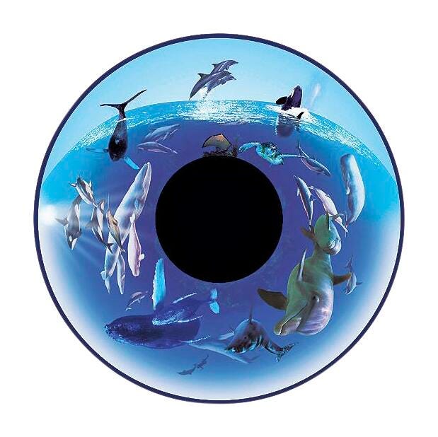 WHALES WHEEL NS8 MAGNETIC