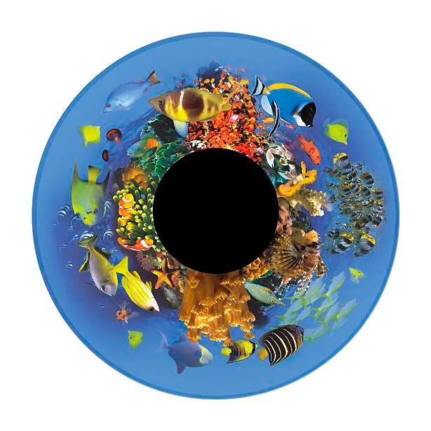 TROPICAL FISH EFFECT WHEEL MAGNETIC