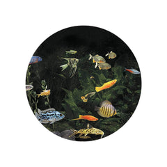 AQUARIUM MAX WHEEL MAGNETIC