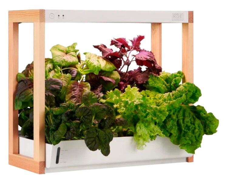 PERSONAL RISE GARDEN