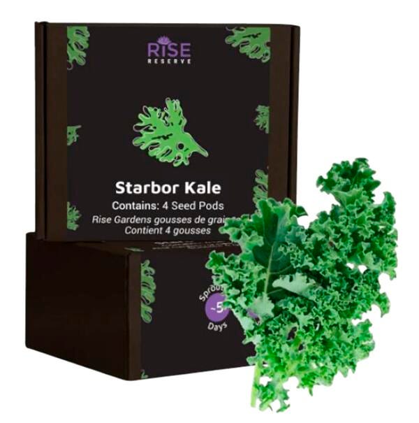 STARBOR KALE 4PK