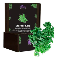 STARBOR KALE 4PK