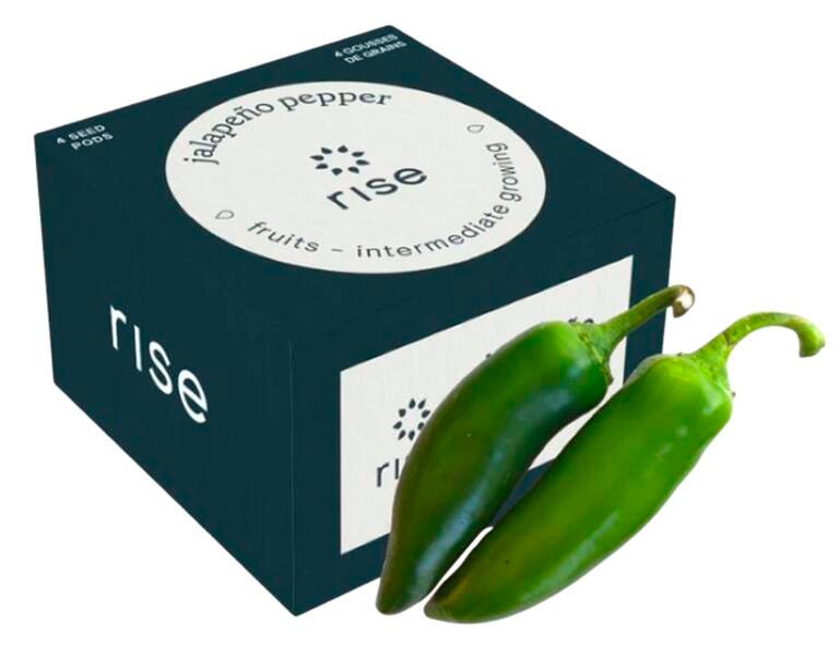 JALAPENO PEPPER 4PK