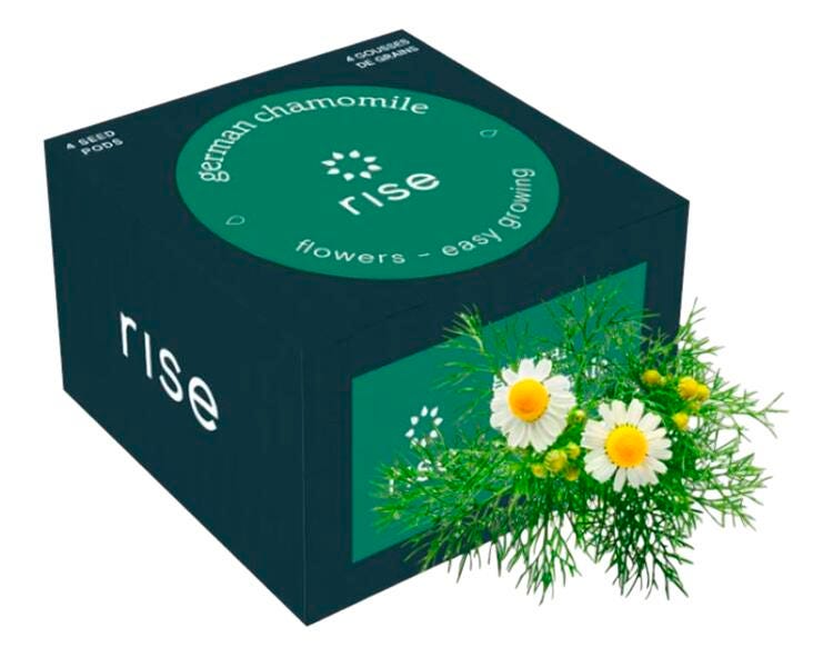 GERMAN CHAMOMILE 4PK
