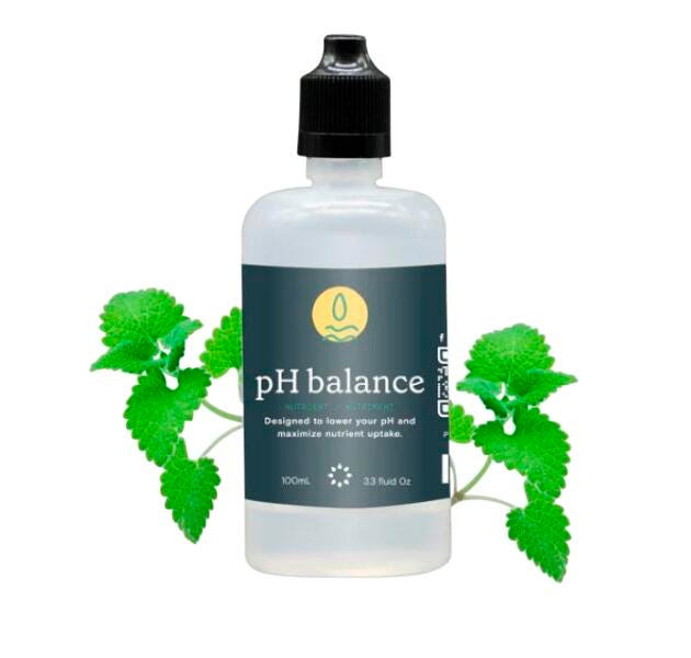 PH BALANCE