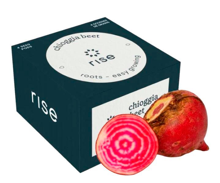 CHIOGGIA BEETS 4PK