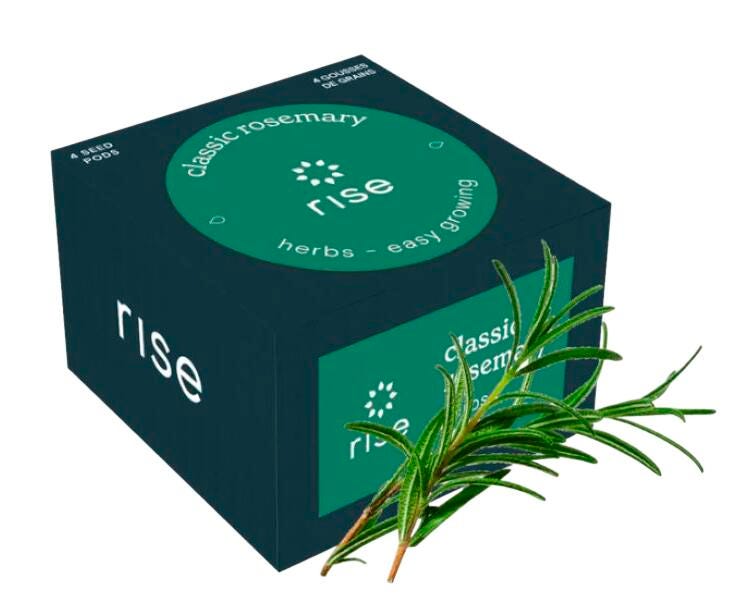 CLASSIC ROSEMARY 4PK