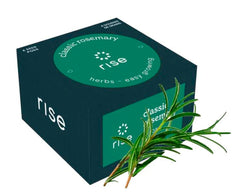 CLASSIC ROSEMARY 4PK